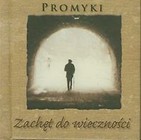 Promyki Zachęt do wieczności