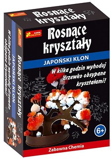 Rosnące kryształy. Japoński klon