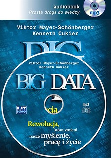 Big Data. Audiobook