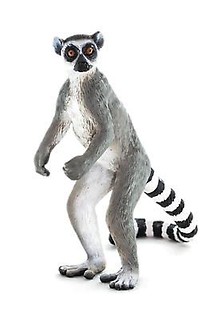 Lemur katta ANIMAL PLANET