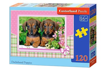 Puzzle 120 Dachshund Puppies CASTOR