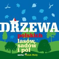 Drzewa polskich lasów sadów i pól