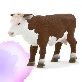 Cielę rasy Hereford stojące ANIMAL PLANET