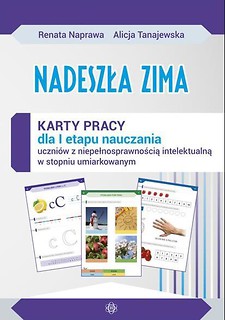 Nadeszła zima. Karty pracy