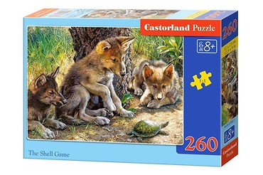 Puzzle 260 The Shell Game CASTOR