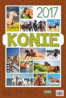 Kalendarz 2017 Konie