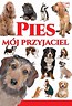 Pies - mój przyjaciel