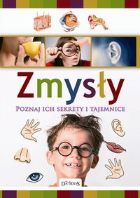 Zmysły