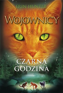 Wojownicy T.6 Czarna godzina