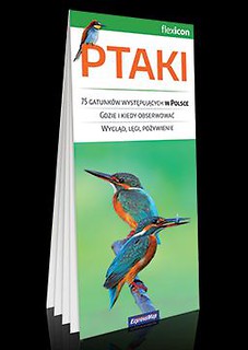 Ptaki