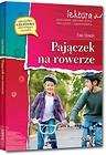 Pajączek na rowerze