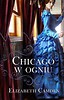 Chicago w ogniu