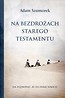 Na bezdrożach Starego Testamentu