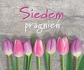 Perełka 131 Siedem pragnień. wyd. 2018