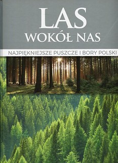 Las wokół nas