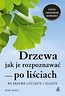 Drzewa - jak je rozpoznawać po liściach