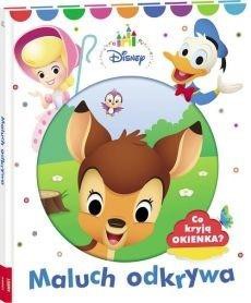 Disney. Maluch odkrywa. Co kryją okienka?