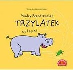 Mądry przedszkolak. Trzylatek