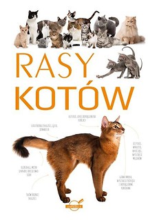 Rasy kot&oacute;w