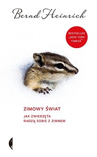 Zimowy świat. Jak zwierzęta radzą sobie z zimnem