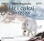 Idź i czekaj mroz&oacute;w audiobook