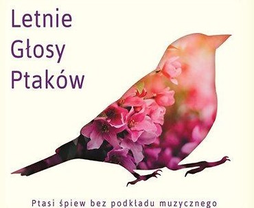 Letnie głosy ptak&oacute;w CD