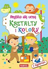 Szybko się uczę. Kształty i kolory