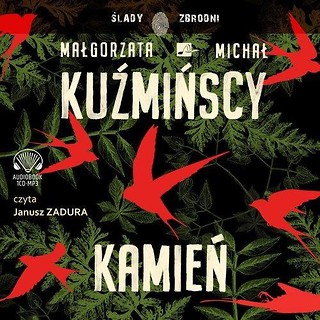 Kamień. Audiobook