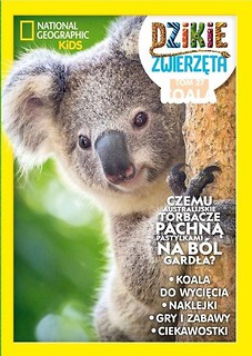 Dzikie Zwierzęta T.27 Koala