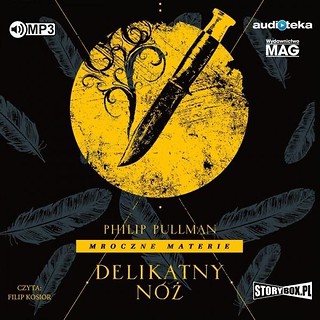 Delikatny n&oacute;ż audiobook