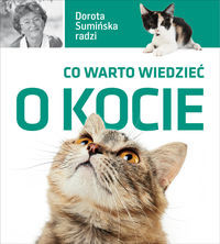 Co warto wiedzieć o kocie