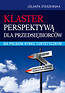 Klaster perspektywą dla przedsiębiorców na polskim rynku turystycznym